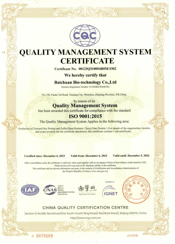 ISO9001