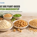 What Are Plant-Based Protein Ingredients? Types and Functions for Food Manufacturers — illustrative food ingredient scene