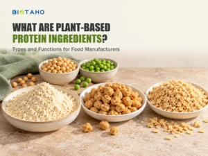 What Are Plant-Based Protein Ingredients? Types and Functions for Food Manufacturers — illustrative food ingredient scene