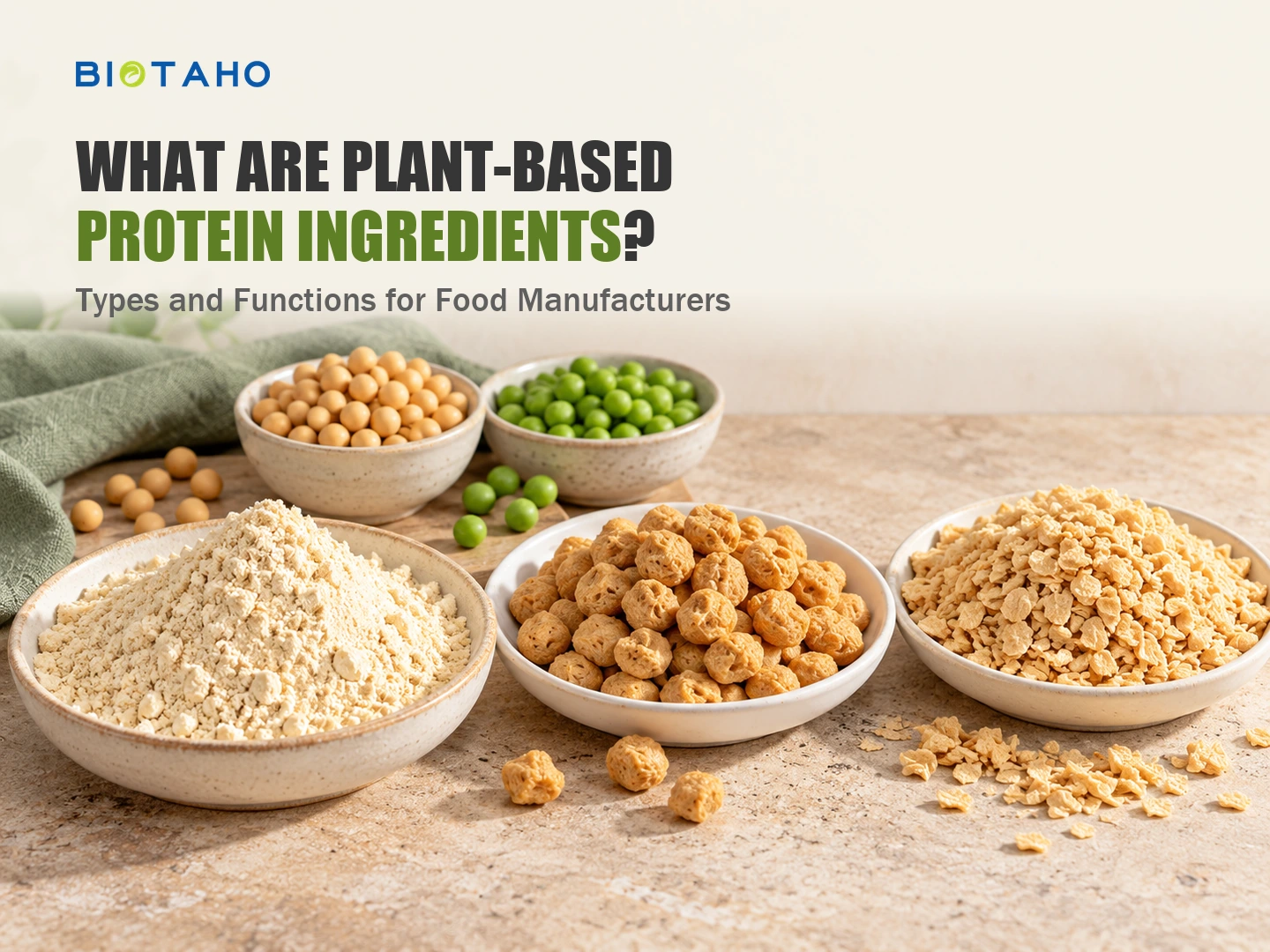 What Are Plant-Based Protein Ingredients? Types and Functions for Food Manufacturers