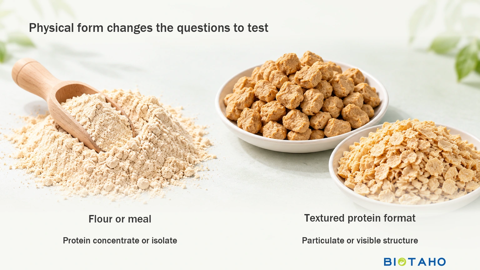 Separate dispersed powder ingredients from textured protein formats when building a formulation shortlist.