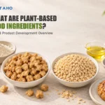 What Are Plant-Based Food Ingredients? A B2B Product Development Overview — illustrative food ingredient scene