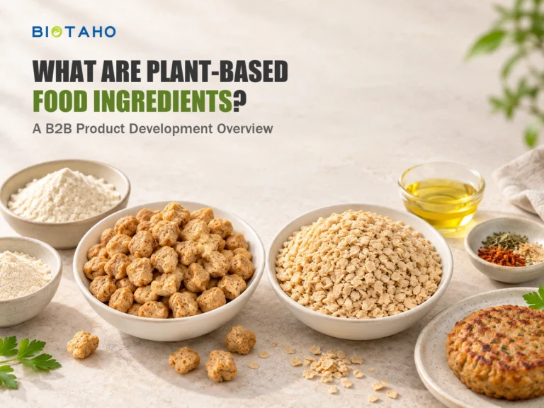 What Are Plant-Based Food Ingredients? A B2B Product Development Overview — illustrative food ingredient scene