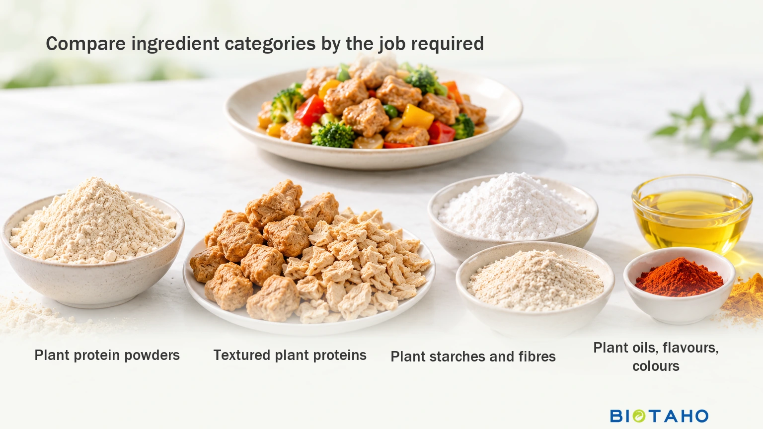 Compare proteins, textured formats, starches and fibres, and other formulation components by their intended role.