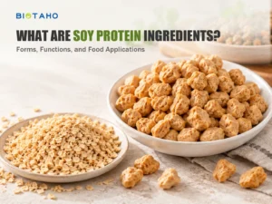 What Are Soy Protein Ingredients? Forms, Functions, and Food Applications — illustrative food ingredient scene