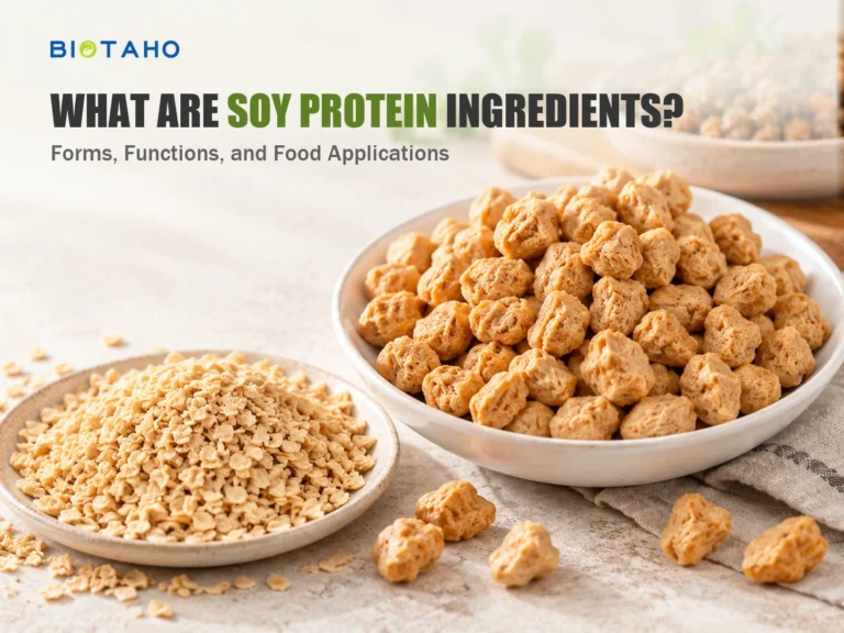 What Are Soy Protein Ingredients? Forms, Functions, and Food Applications — illustrative food ingredient scene