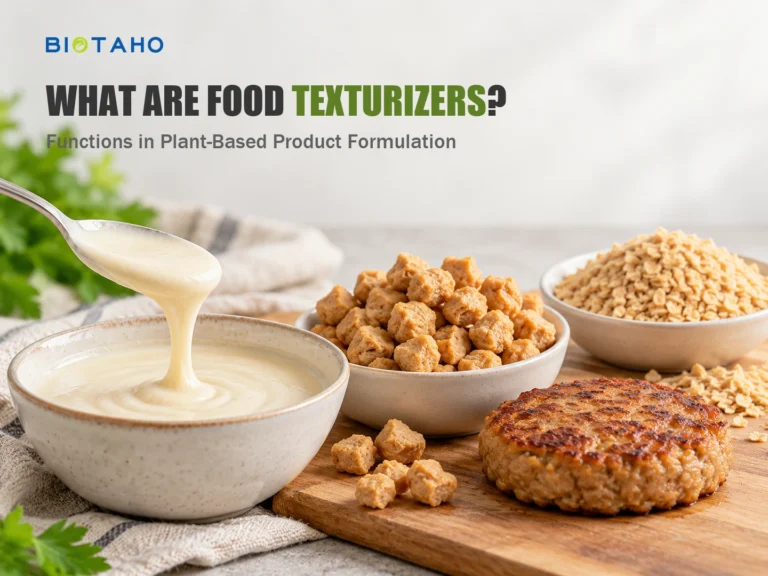 What Are Food Texturizers? Functions in Plant-Based Product Formulation — illustrative food ingredient scene