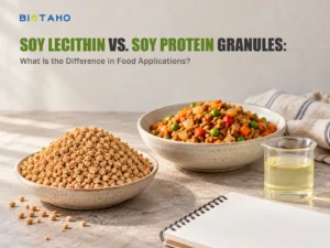 Soy Lecithin vs. Soy Protein Granules: What Is the Difference in Food Applications? — illustrative food preparation scene